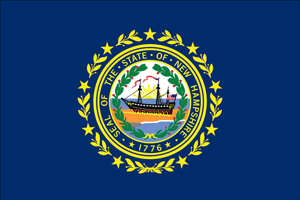 New Hampshire flag